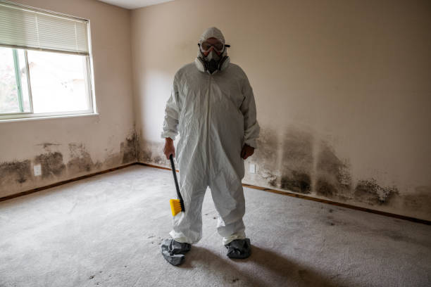 Biohazard Mold Removal in Auberry, CA